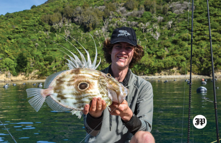 John Dory