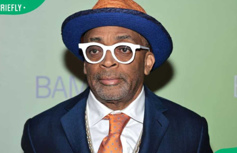 spike lee net worth